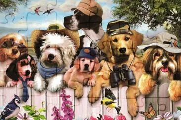 animais jigsaw puzzle