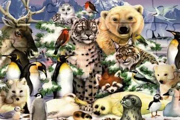 animais