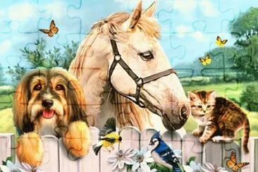 animais