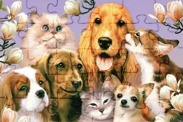 animais jigsaw puzzle