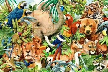 animais jigsaw puzzle