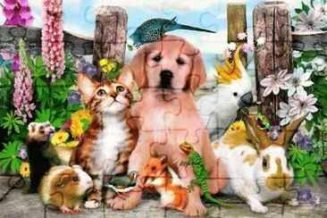 animais jigsaw puzzle