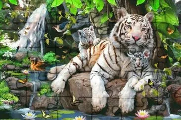 animais jigsaw puzzle