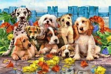 animais jigsaw puzzle