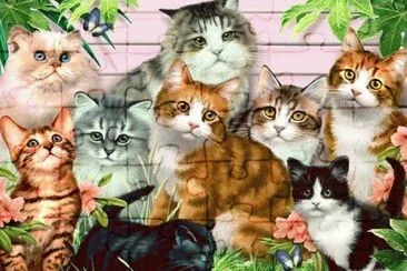 animais jigsaw puzzle