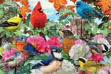 animais
