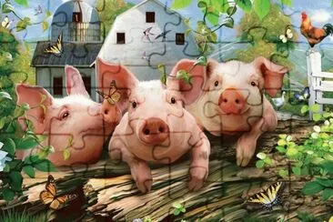 animais