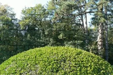 MARSU