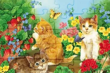 9 3x5td jigsaw puzzle