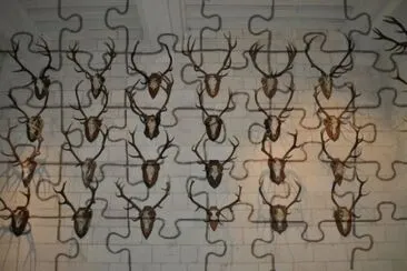 MARSU jigsaw puzzle