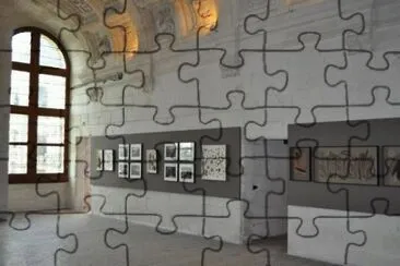 MARSU jigsaw puzzle