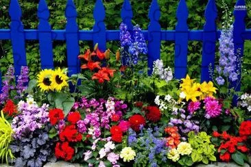 Many Flowers jigsaw puzzle