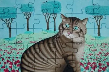 Gatos