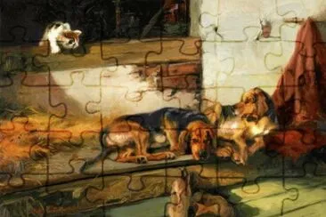 animais
