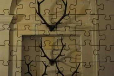 MARSU jigsaw puzzle