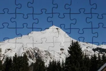 MARSU jigsaw puzzle