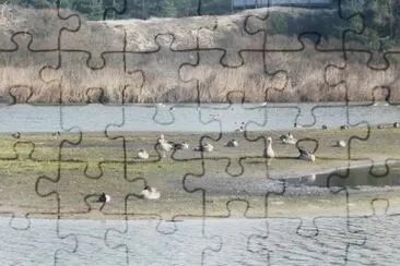 MARSU jigsaw puzzle