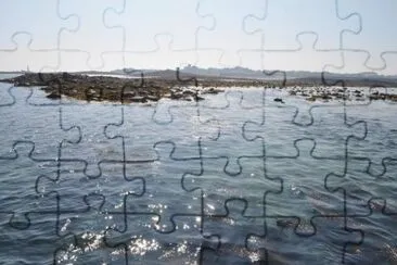 MARSU jigsaw puzzle