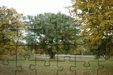 MARSU jigsaw puzzle
