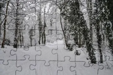 MARSU jigsaw puzzle