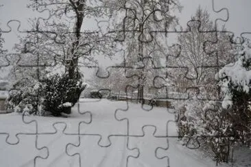 MARSU jigsaw puzzle