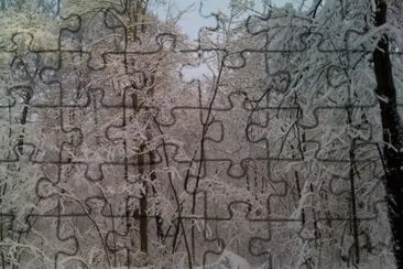 MARSU jigsaw puzzle