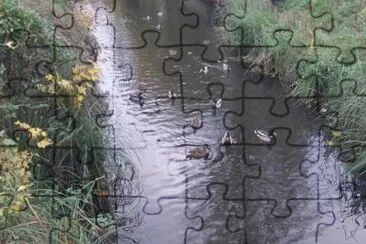 MARSU jigsaw puzzle