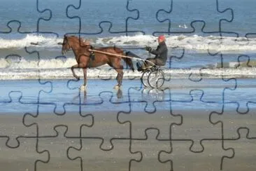 MARSU jigsaw puzzle