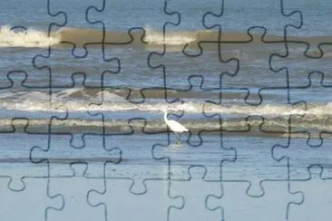 MARSU jigsaw puzzle