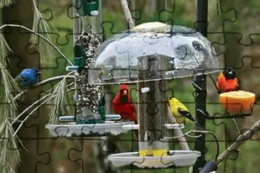 feb20 jigsaw puzzle