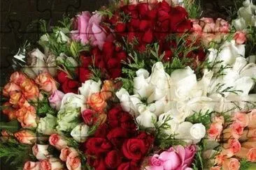 Rosas jigsaw puzzle