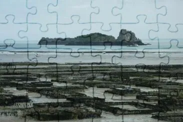 MARSU jigsaw puzzle