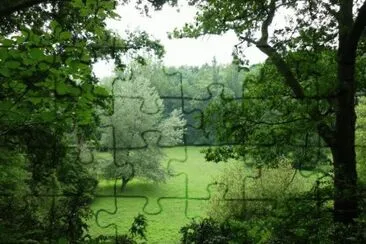 MARSU jigsaw puzzle