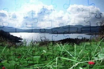 008 jigsaw puzzle