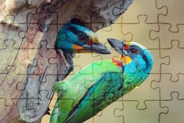 pÃ¡jaros de colores jigsaw puzzle