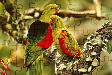 Birds jigsaw puzzle