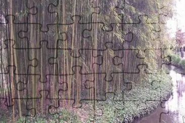 MARSU jigsaw puzzle