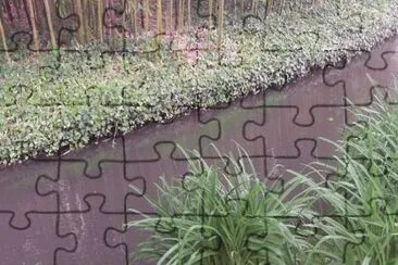 MARSU jigsaw puzzle