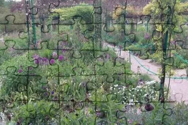 MARSU jigsaw puzzle