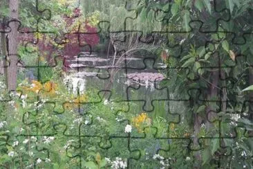 MARSU jigsaw puzzle