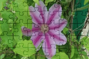 MARSU jigsaw puzzle