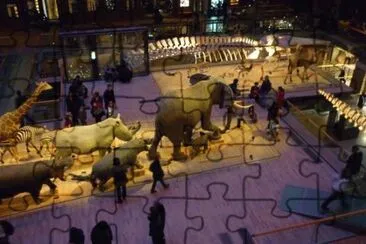 MARSU jigsaw puzzle
