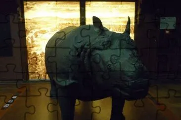 MARSU jigsaw puzzle