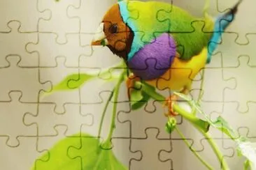 Diamond Gold Bird Australia jigsaw puzzle