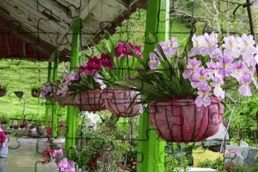 imagem jigsaw puzzle