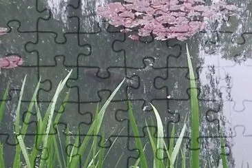 MARSU jigsaw puzzle