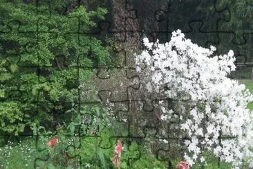 MARSU jigsaw puzzle
