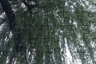 MARSU