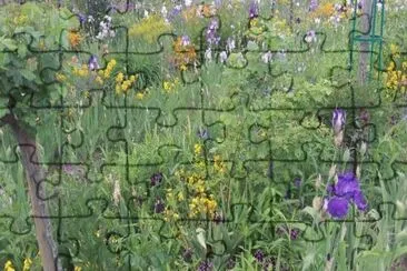 MARSU jigsaw puzzle