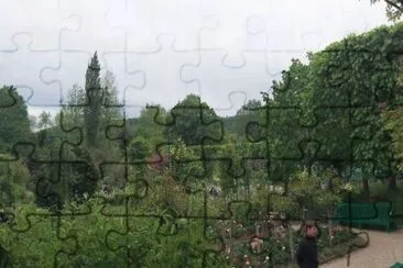 MARSU jigsaw puzzle